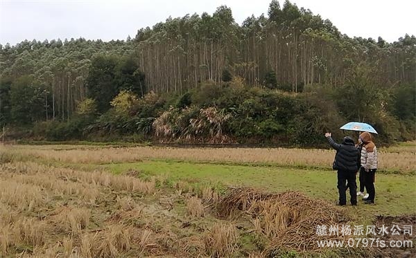 荃湾区陈老师带着爱徒寻龙点穴